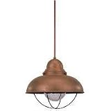 Sea Gull Lighting 6658-44 Sebring One-Light Pendant, Weathered Copper Finish with Clear Seeded Glass