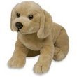 asthma friendly Yellow Labrador