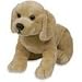 asthma friendly Yellow Labrador