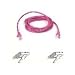 Belkin Patch Cable - RJ-45 - Male - RJ-45 - Male - 10 ft - UTP ( Cat 5E )
