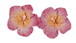 Hawaii Pierced Flower Earrings Pink Hibiscus