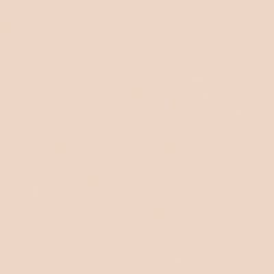 Champion Women's Double Dry Distance Underwire Bra, Soft Taupe, 40/42D/DD