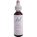 Bach Gorse (1 x 20 ML)