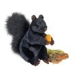 Plush Black Squirrel with Acorn 9"