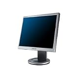 19IN LCD Analog 700:1 913N SILVER8MS Display