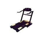 Champion Phoenix Folding Treadmill
