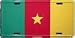Cameroon License Plate