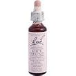 Bach Essence White Chestnut 20 Milliliters