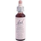 Bach Essence White Chestnut 20 Milliliters