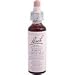 Bach Essence White Chestnut 20 Milliliters