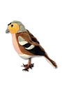 Childrens Toyshop   : RSPB Chaffinch Finger Puppet