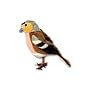 RSPB Chaffinch Finger Puppet