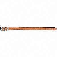 Hunting Dog Collar, 20" x 1"