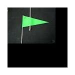 Atv Green Pennet 5/16" Safety Flag with Mount Bolt