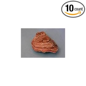 SciEd Individual Rock Specimens: Sedimentary; Sandstone, banded, with layering; Qty.: Pack of 10