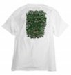 Santa Cruz Organic T-Shirt - Tree God - Medium - Khaki