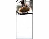 New Songbird Essentials Magnetic Notepad I Don't Do Mornings Highest Quality Available Functional