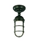 Groton Semi-flushmount Wet Location Ceiling Light Fixture