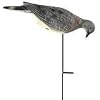 Edge by Expedite FOUR PACK-O-FEEDERS DOVE DECOYS