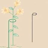 Bosmere E503 24 x 3 Inch Hoop - Set of 3