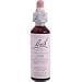 Bach Oak (1 x 20 ML)