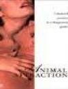 Cover art for  Animal Attraction