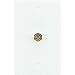RCA VH61 Coaxial Single Wall Plate (White)