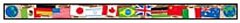 TEACHERS FRIEND TF-2939 INTERNATIONAL FLAGS BORDERS WITH CO