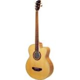 Ashbury 5 string Acoustic bass