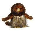 Barred Owl Webkinz New August Release. Sealed Tag with Code Attached 2010 11igoWy8kqL Barred Owl Webkinz New August Release. Sealed Tag with Code Attached 2010