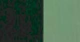 OIL SAP GREEN 37ml