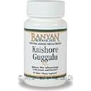 Kaishore Guggulu - Reduces Pitta Inflammations in the Joints and Muscles, 90 tabs.,... by Banyan Botanicals