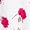 Fuchsia Mix