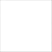 Interfit Photographic Master Giant Collapsible Disc Background, White, 2.5 m x 5 m (98 x 16')