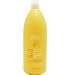Back To Basics Coconut Mango Shampoo For Coarse Hair, 33.8-Ounce