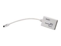 Mini-DisplayPort to DVI Adapter