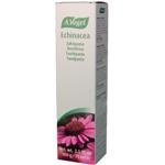 100% Natural A Vogel, Echinacea, Toothpaste, 3.5 fl oz