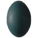 Emu Egg