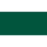 Dylon Permanent Fabric Dye -Dark Green