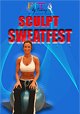 Tracey Staehles Sculpt SweatFest DVD