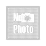 ニチレイ　そのまま使える斜めカットいんげん　冷凍　５００ｇ　【冷凍】