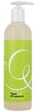 DevaCurl B'Leave-In, 16 fl. oz