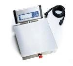 Scale, Pizza, Digital Portion, LCD Display, 11 lb. Capacity