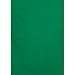 Electronics : 10 x 12 Chromakey Green Muslin Background