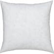 Set of 2 - 20 x 20" - 95% Feather 5% Down Pillow Insert - Made in USA - Exclusively by Blowout Bedding
