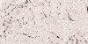 large image