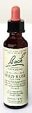 Bach Flower Essence - Wild Rose