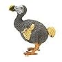 Safari: Dodo Bird