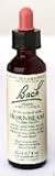 Bach Flower Essence - Hornbeam