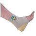 Tuli's Cheetahs, Ankle Support With Heel Cup, Small 70-80 lbs